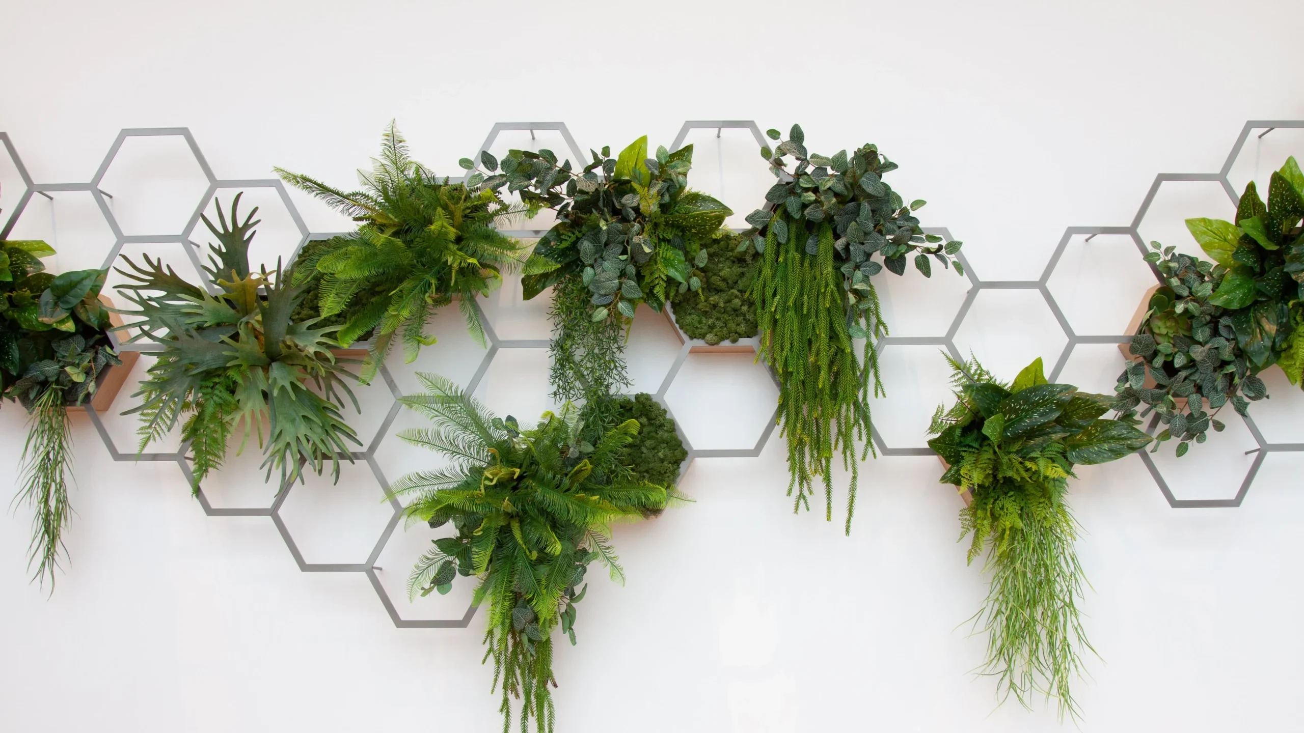 Trappen ontwerp